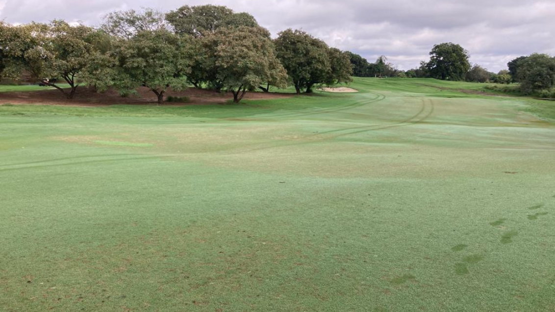 Indooroopilly Golf Club QLD 1