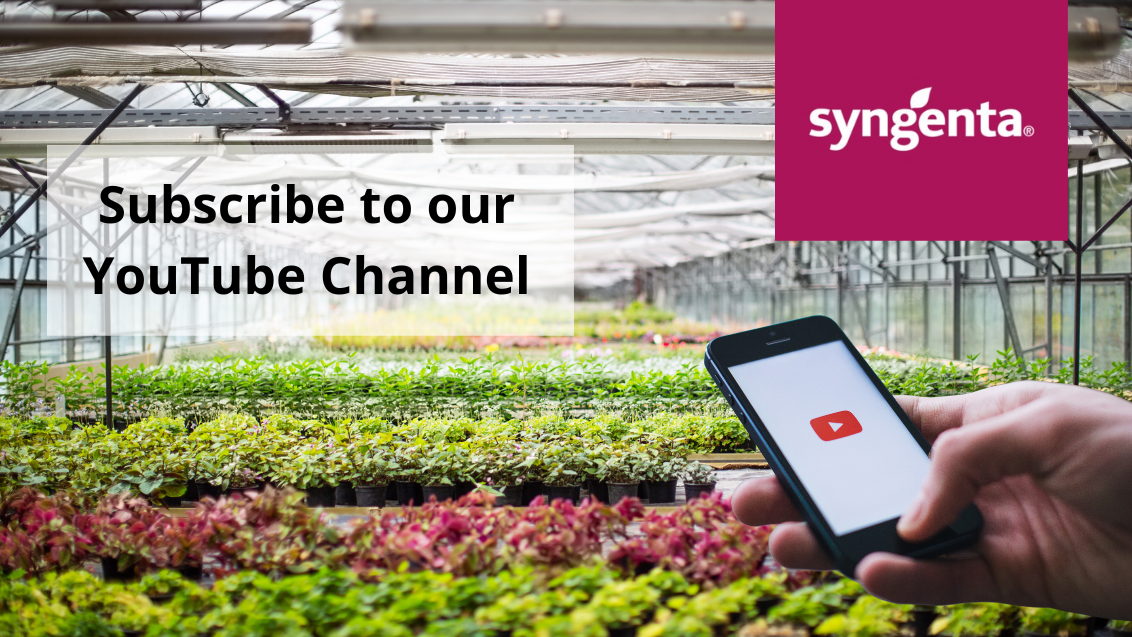 Subscribe to our YouTube Channel