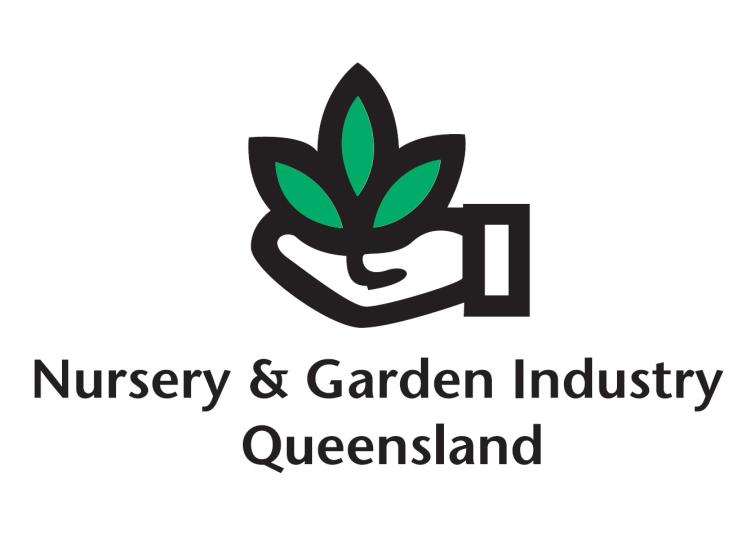 NGIQ logo