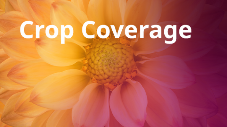 Crop Coverage