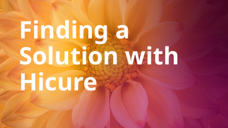 Finding a Solution with Hicure