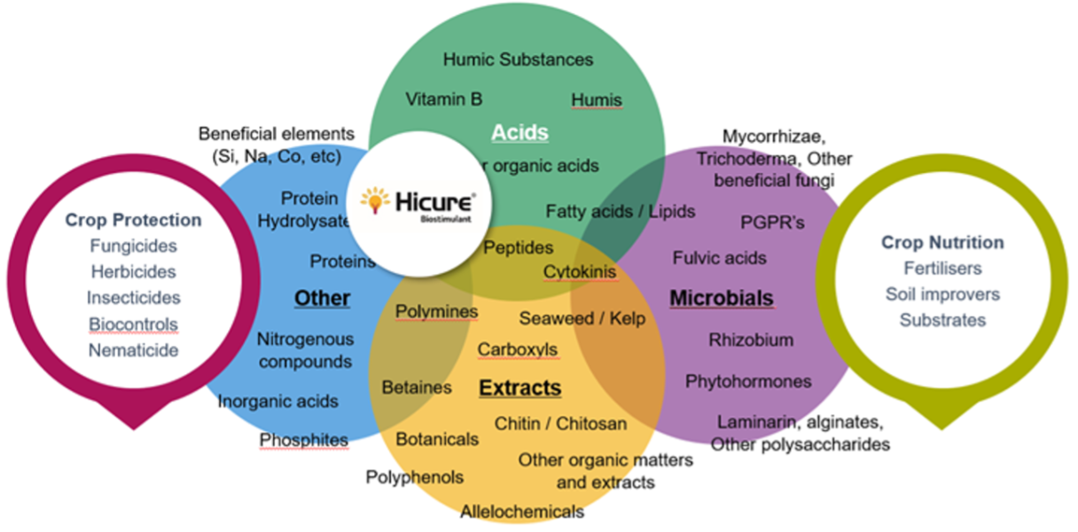 Spotlight on Biostimulant blog