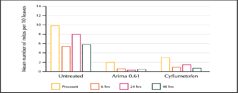 Trial Results