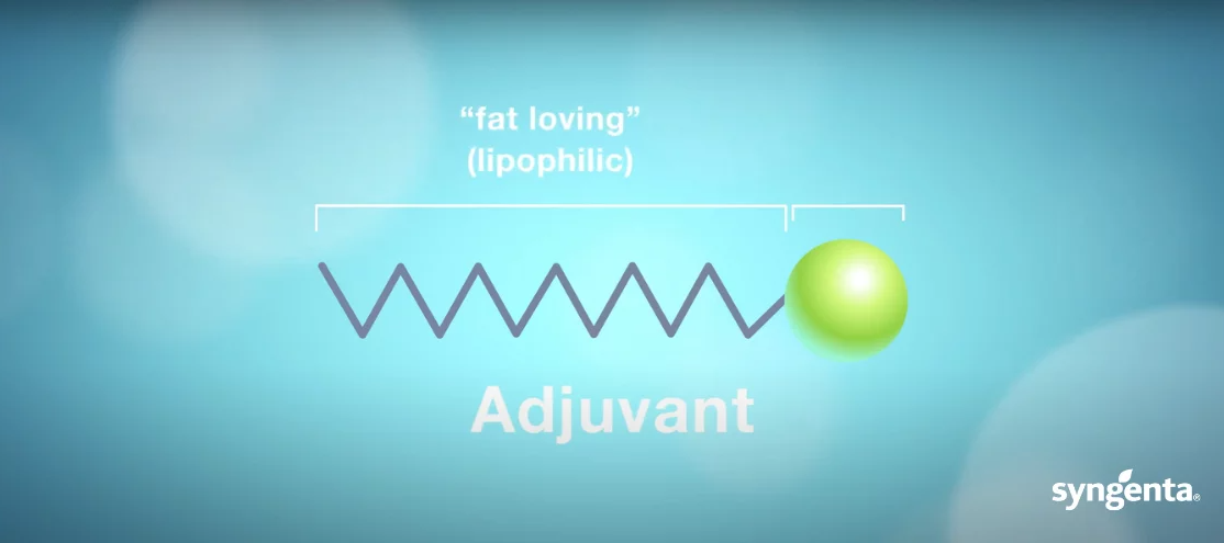 Figure 2: Components of a surfactant molecule