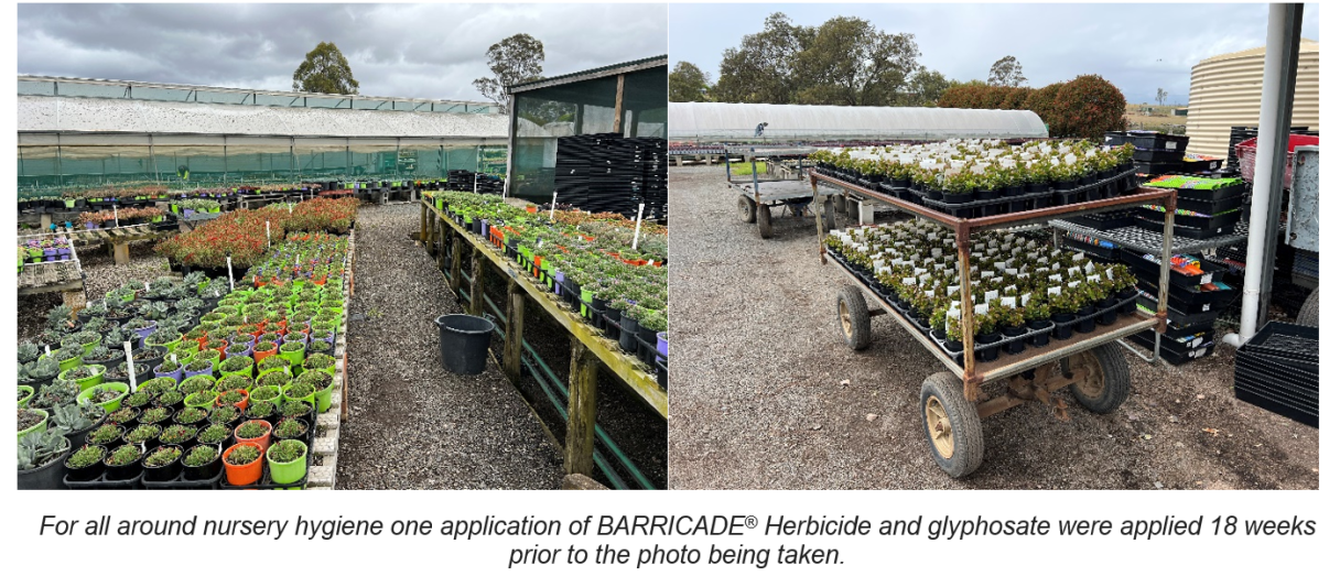 barricade.png