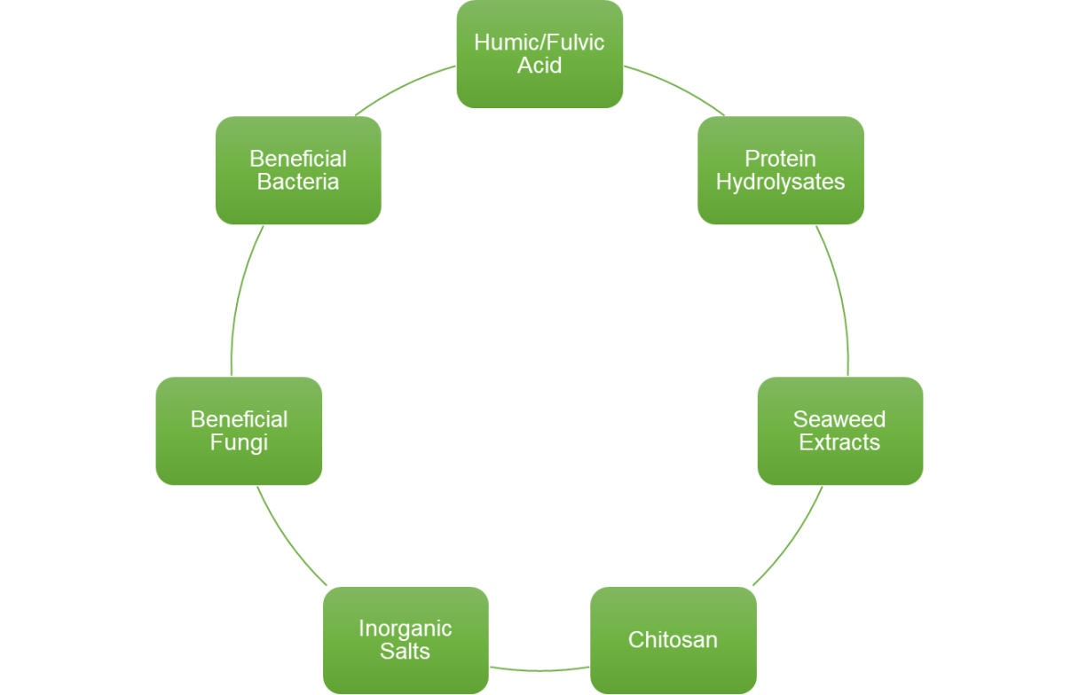 Seven categories of Biostimulants